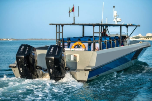 Лодочный мотор | ПЛМ | Mercury Marine | SeaPro500